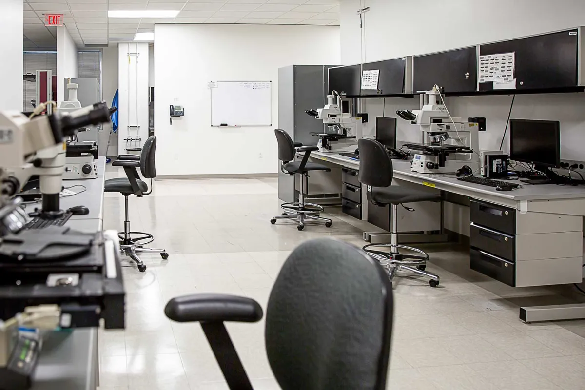 STMicroelectronics office interior