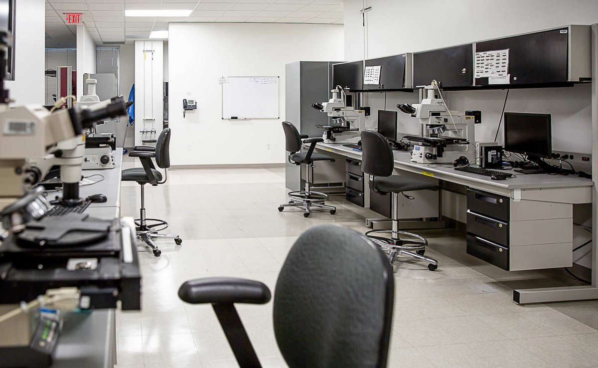 STMicroelectronics office interior