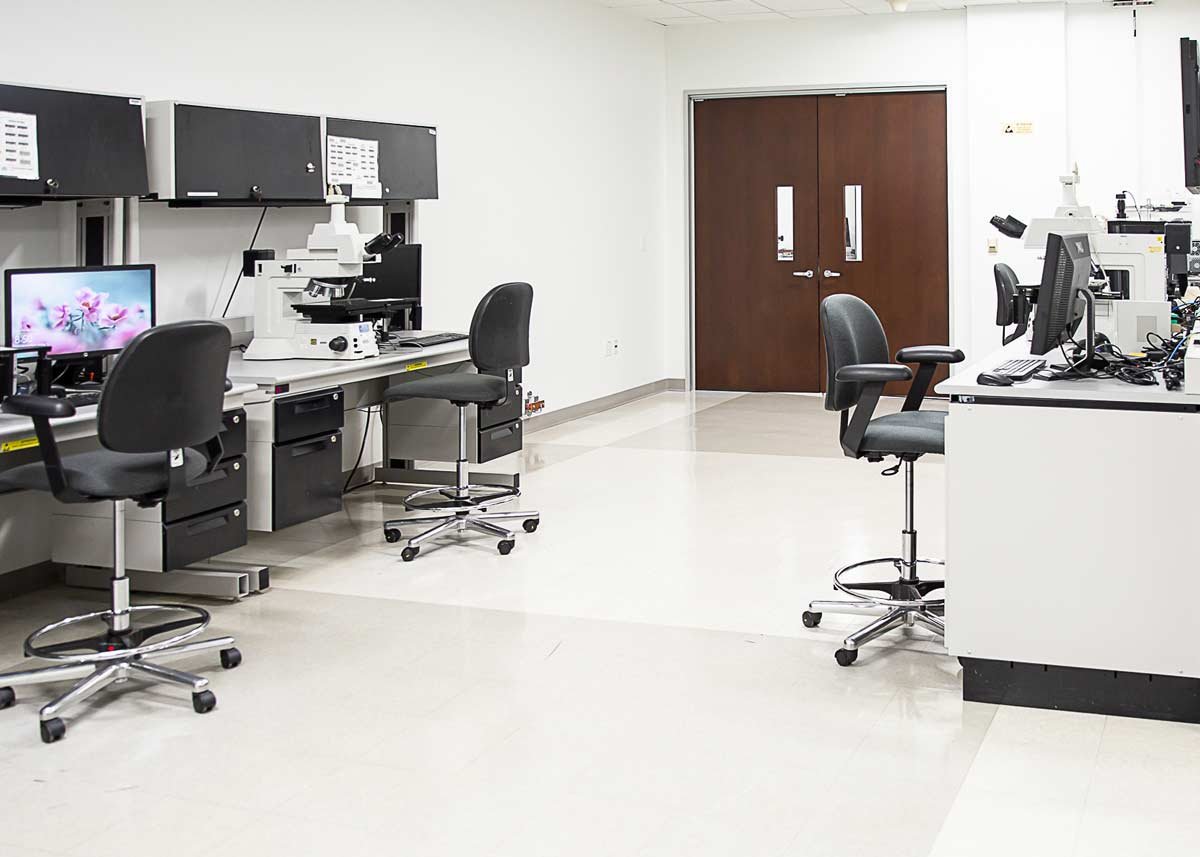 Lab stations in office
